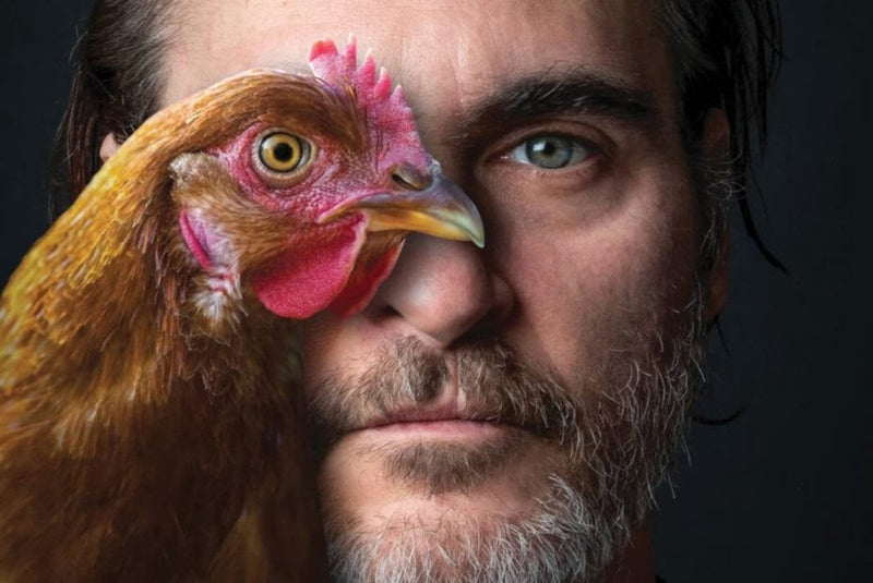 Joaquin Phoenix Named PETA’s Person of the Year