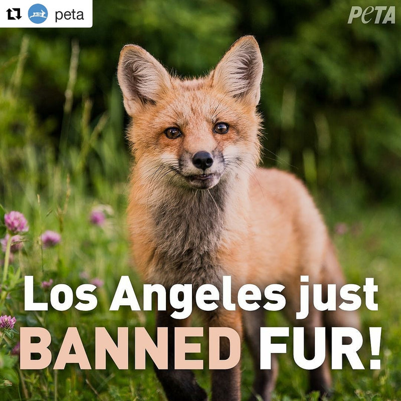 Los Angeles Bans REAL Fur